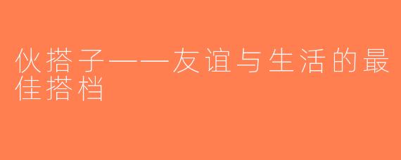 伙搭子——友谊与生活的最佳搭档