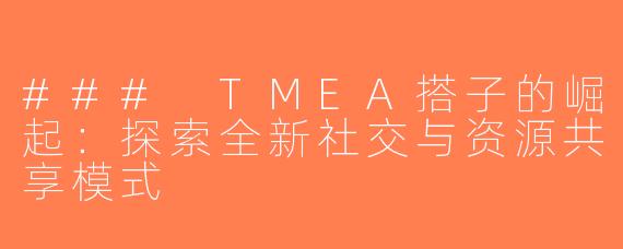 ### TMEA搭子的崛起：探索全新社交与资源共享模式