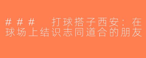 ### 打球搭子西安：在球场上结识志同道合的朋友