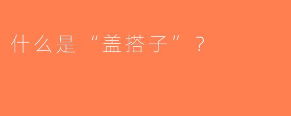什么是“盖搭子”？