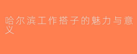 哈尔滨工作搭子的魅力与意义