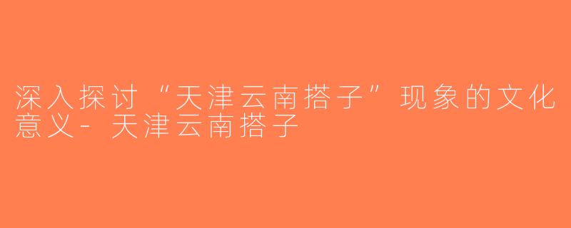 深入探讨“天津云南搭子”现象的文化意义-天津云南搭子