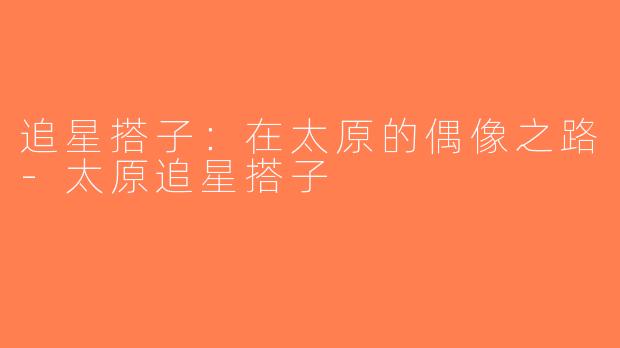 追星搭子：在太原的偶像之路-太原追星搭子