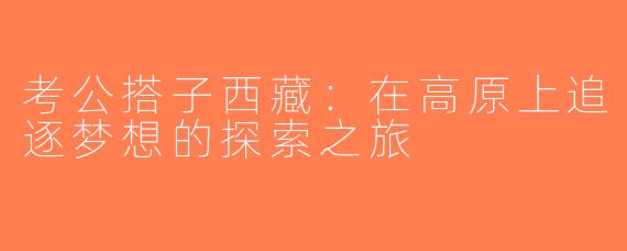 考公搭子西藏：在高原上追逐梦想的探索之旅