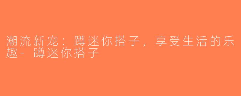 潮流新宠：蹲迷你搭子，享受生活的乐趣-蹲迷你搭子