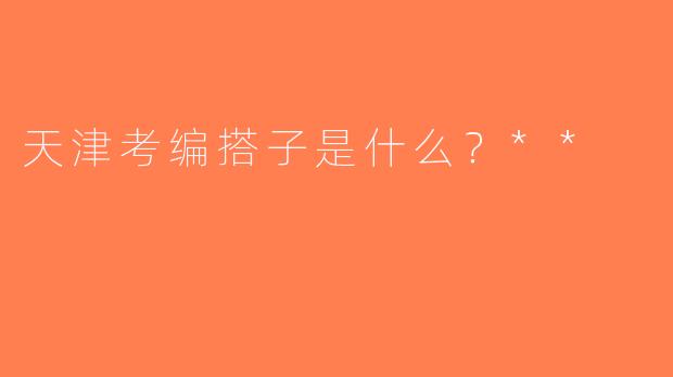 天津考编搭子是什么？**