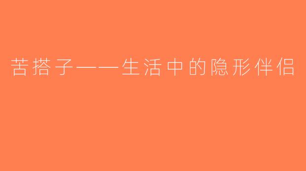 苦搭子——生活中的隐形伴侣