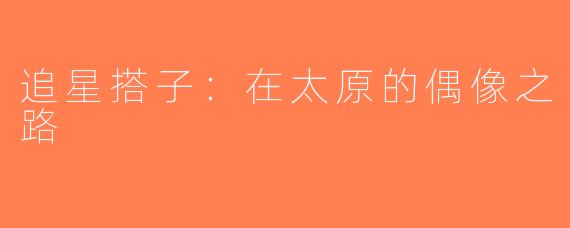 追星搭子：在太原的偶像之路