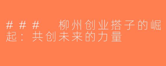 ### 柳州创业搭子的崛起：共创未来的力量