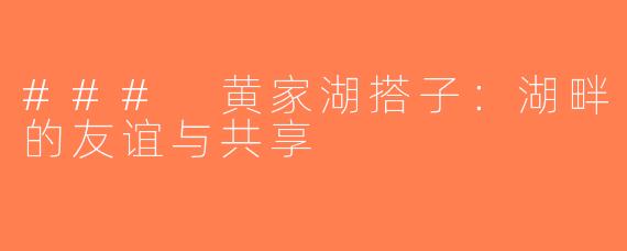 ### 黄家湖搭子：湖畔的友谊与共享