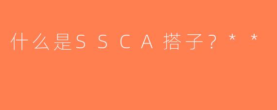 什么是SSCA搭子？**