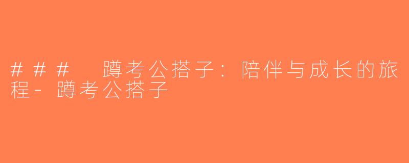 ### 蹲考公搭子：陪伴与成长的旅程-蹲考公搭子