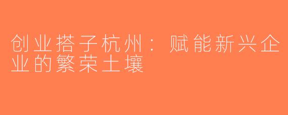 创业搭子杭州：赋能新兴企业的繁荣土壤