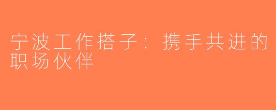 宁波工作搭子：携手共进的职场伙伴