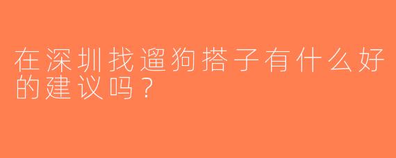 在深圳找遛狗搭子有什么好的建议吗？