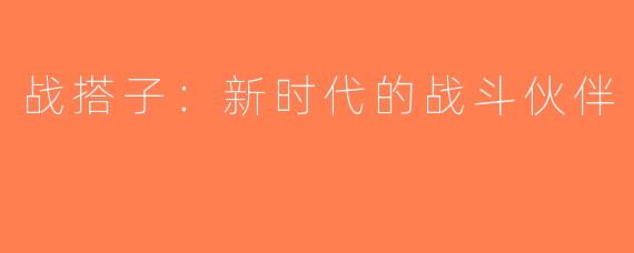战搭子：新时代的战斗伙伴