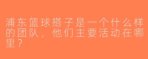 浦东篮球搭子是一个什么样的团队，他们主要活动在哪里？