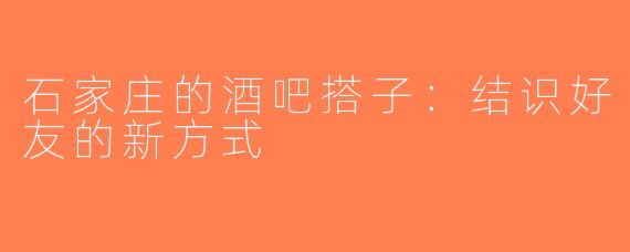 石家庄的酒吧搭子：结识好友的新方式