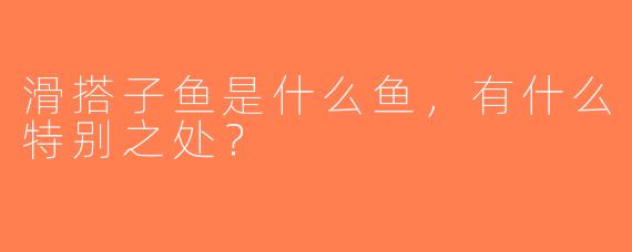 滑搭子鱼是什么鱼，有什么特别之处？