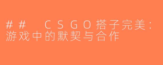 ## CSGO搭子完美：游戏中的默契与合作