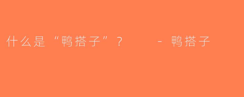 什么是“鸭搭子”？  -鸭搭子