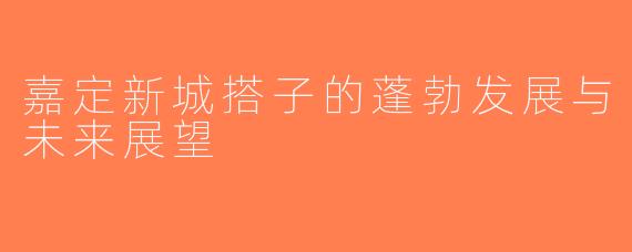 嘉定新城搭子的蓬勃发展与未来展望