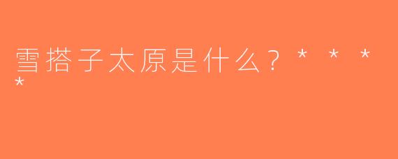 雪搭子太原是什么？****