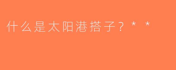 什么是太阳港搭子？**