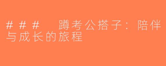 ### 蹲考公搭子：陪伴与成长的旅程