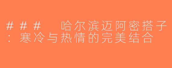 ### 哈尔滨迈阿密搭子：寒冷与热情的完美结合
