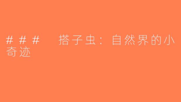 ### 搭子虫：自然界的小奇迹