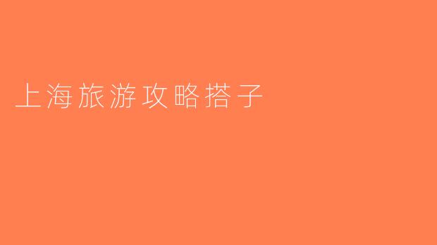 上海旅游攻略搭子