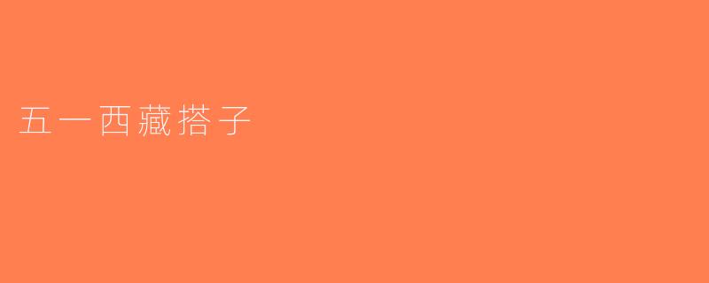 五一西藏搭子