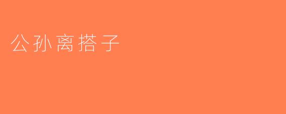 公孙离搭子
