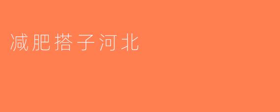 减肥搭子河北