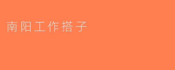 南阳工作搭子