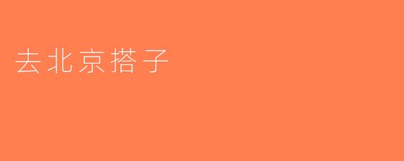 去北京搭子