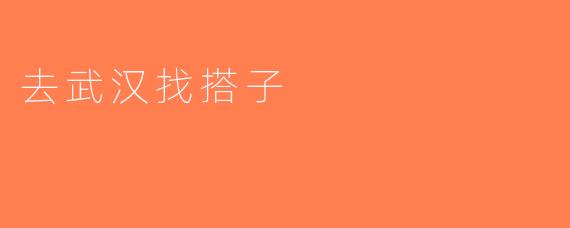 去武汉找搭子