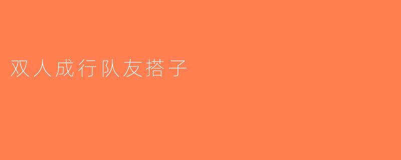 双人成行队友搭子