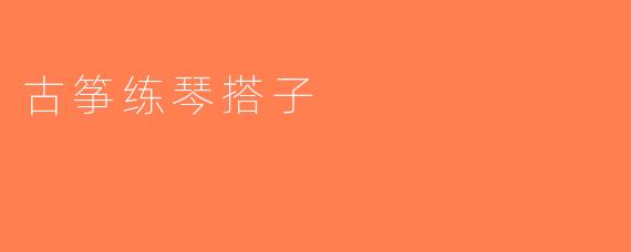 古筝练琴搭子