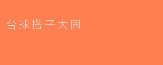 台球搭子大同