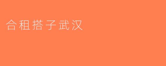 合租搭子武汉