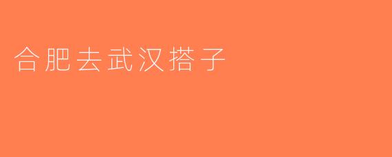 合肥去武汉搭子