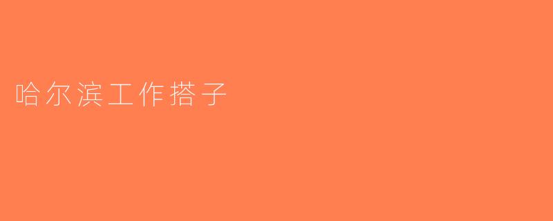 哈尔滨工作搭子