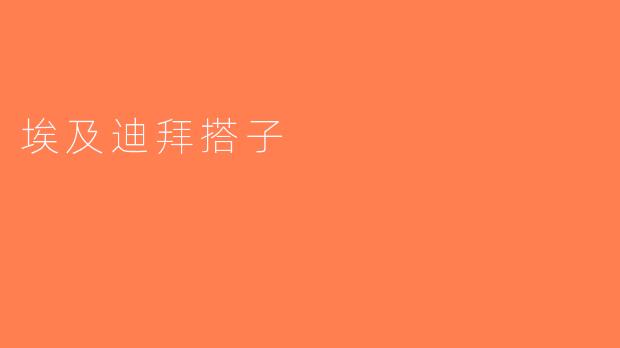 埃及迪拜搭子
