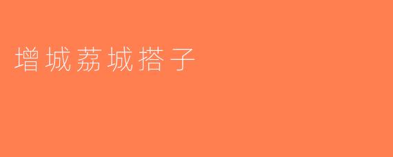 增城荔城搭子