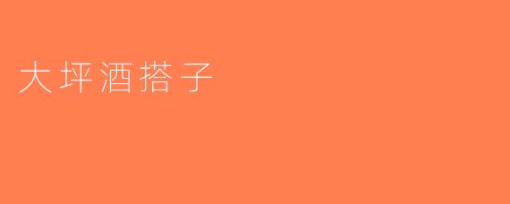 大坪酒搭子