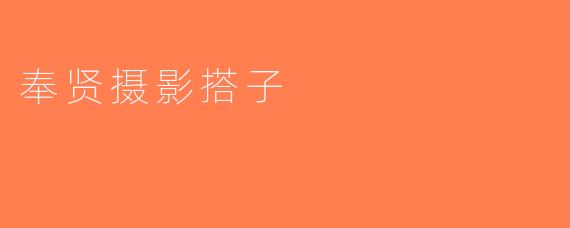 奉贤摄影搭子