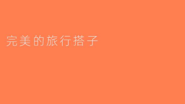 完美的旅行搭子