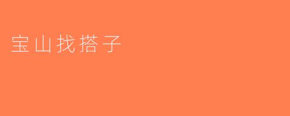 宝山找搭子